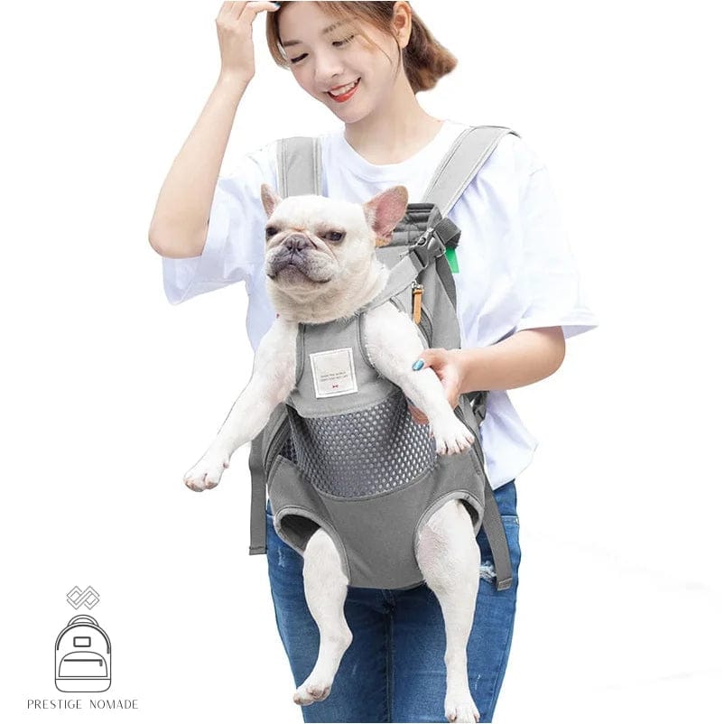 Sac à Dos Pour Chien